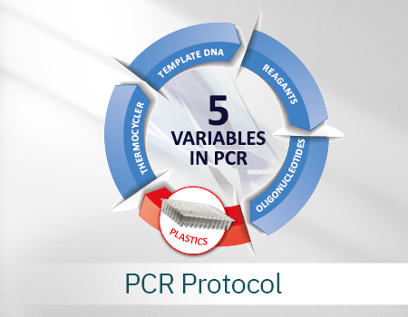 PCR protocol, PCR process