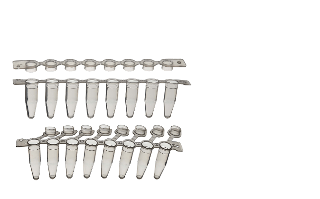 pcr strip tubes, pcr strip tubes with attached caps, 8 tube strips